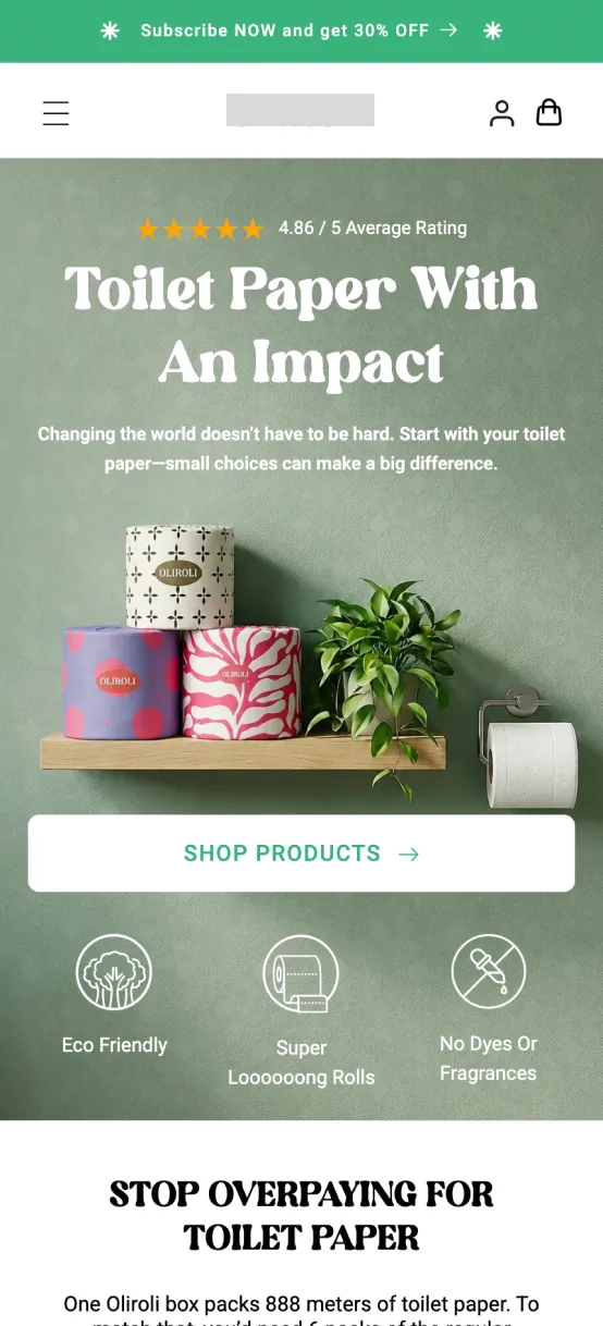 Shopify landing page design 01